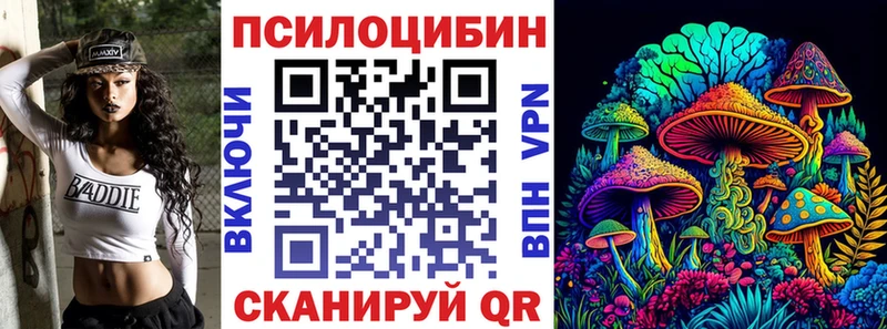 MEGA зеркало  Мегион  Галлюциногенные грибы Psilocybine cubensis 
